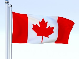 animated canadian flag Model 3D