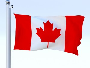 animated canadian flag Model 3D