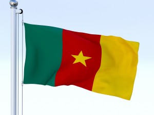 animated cameron flag 3D मॉडल