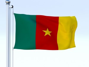 animated cameron flag 3D-Modell