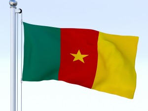 animated cameron flag 3D-Modell