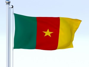 animated cameron flag 3D-Modell