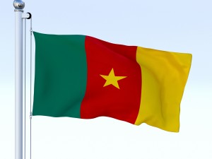 animated cameron flag 3D-Modell