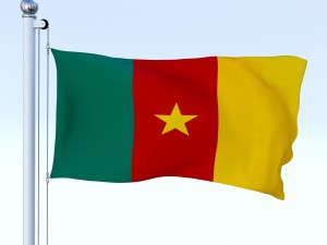 animated cameron flag 3D-Modell