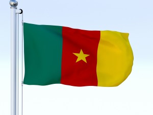 animated cameron flag 3D-Modell