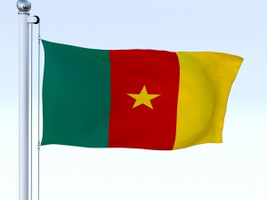 animated cameron flag 3D-Modell
