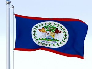 animated belize flag 3D 模型