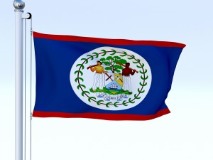 animated belize flag 3D 模型