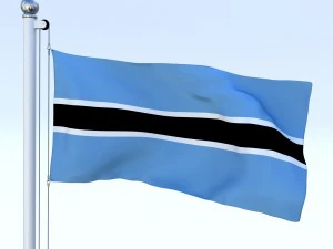 animated botswana flag 3D Model