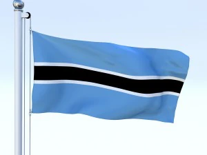 animated botswana flag 3D Model