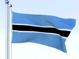 animated botswana flag 3D Model