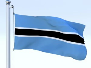 animated botswana flag 3D Model