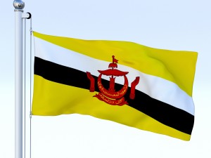 animated brunei darussalam flag 3D Модель