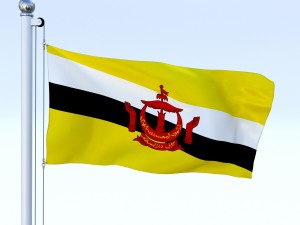 animated brunei darussalam flag 3D Модель