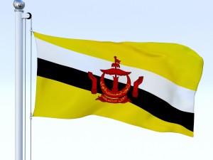 animated brunei darussalam flag 3D Модель
