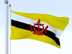 animated brunei darussalam flag 3D Модель