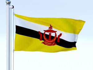 animated brunei darussalam flag 3D Модель
