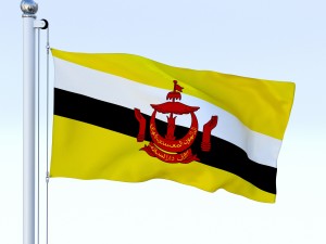 animated brunei darussalam flag 3D Модель