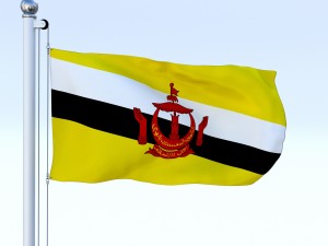 animated brunei darussalam flag 3D Модель