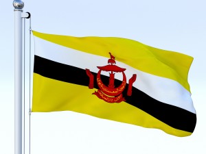 animated brunei darussalam flag 3D Модель