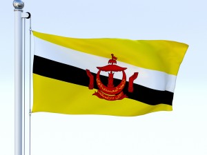 animated brunei darussalam flag 3D Модель