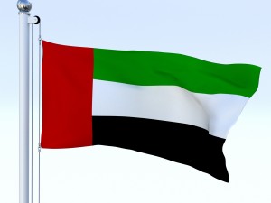 animated united arab emirates flag 3D Model