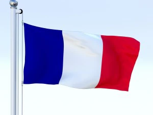 animated france flag 3D Model