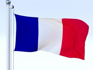 animated france flag Modelo 3D