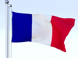animated france flag Modelo 3D