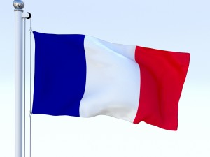 animated france flag Modelo 3D