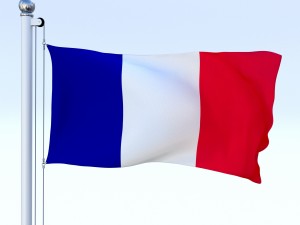 animated france flag Modelo 3D