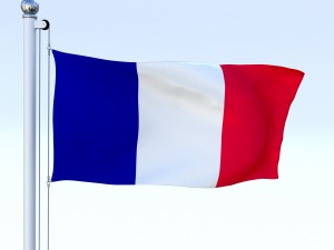 animated france flag Modelo 3D