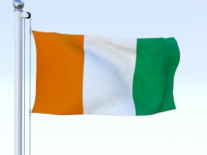 animated cte divoire flag 3D 模型