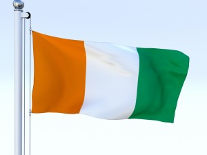 animated cte divoire flag 3D 模型