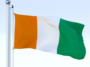 animated cte divoire flag 3D 模型