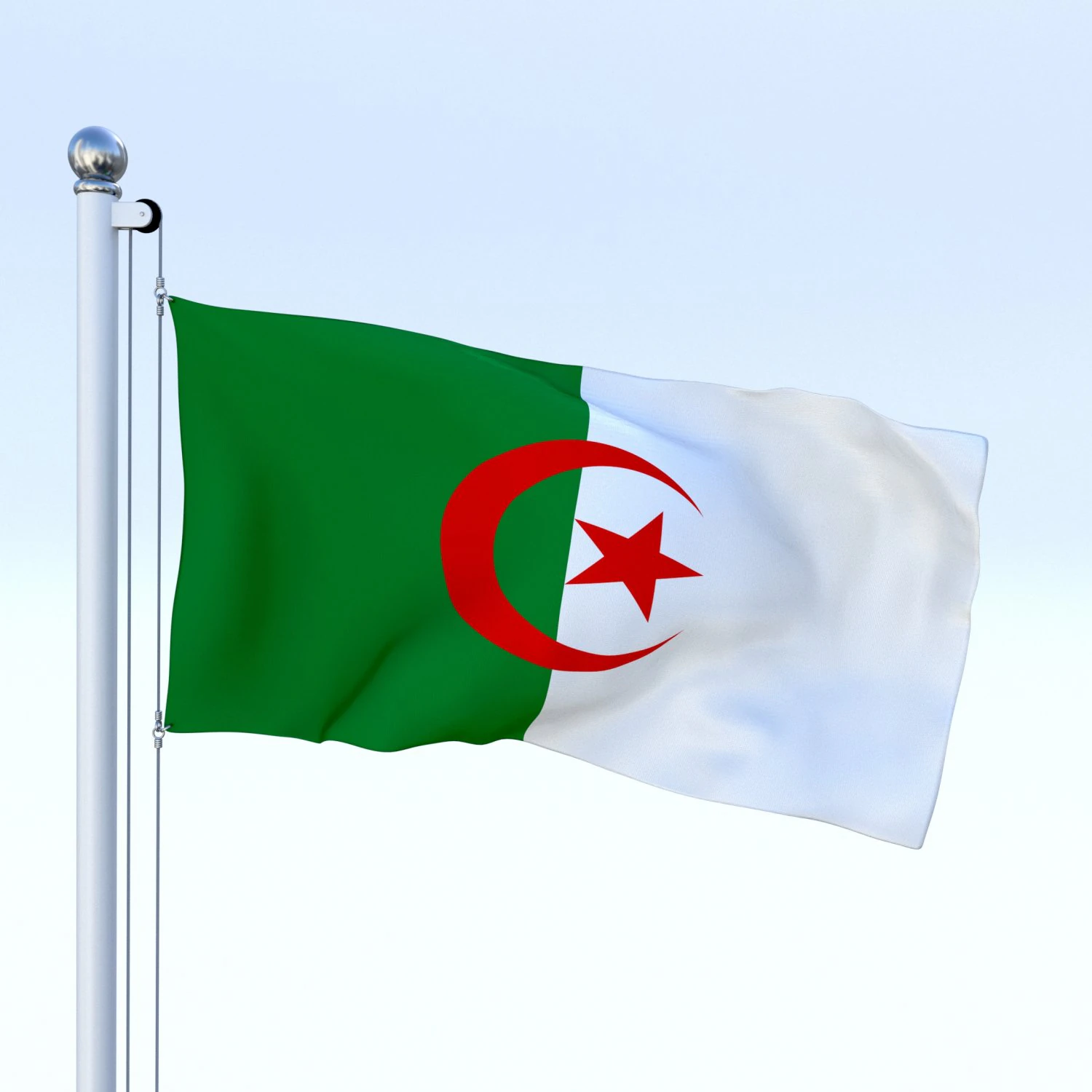 animated algeria flag 3D Model .c4d .max .obj .3ds .fbx .stl .blend 