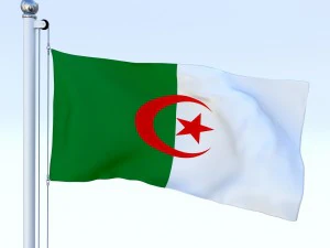 animated algeria flag 3D Model