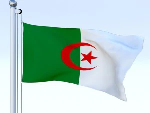 animated algeria flag 3D Model
