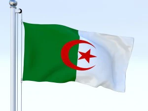 animated algeria flag 3D Model