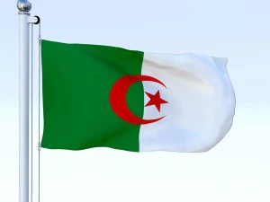 animated algeria flag 3D Model