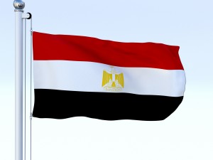 animated egypt flag 3Dモデル