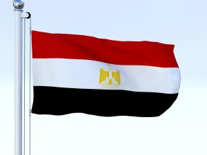 animated egypt flag 3D Model