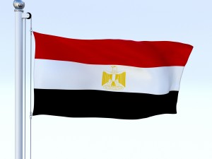 animated egypt flag 3Dモデル