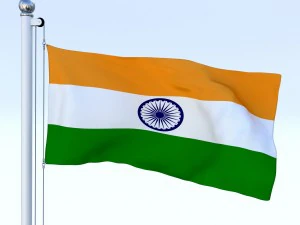 animated india flag 3D Model