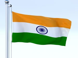 animated india flag 3D Model
