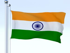 animated india flag 3D Model