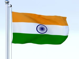 animated india flag 3D Model