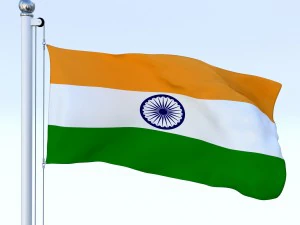 animated india flag 3D Model