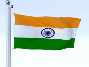 animated india flag 3D 모델
