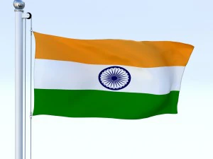 animated india flag 3D Model